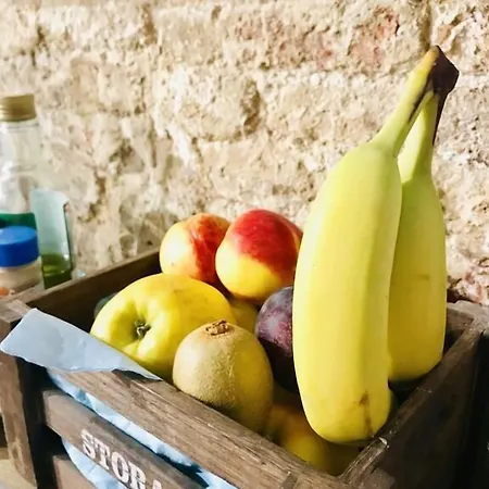 Barbara's Chioggia