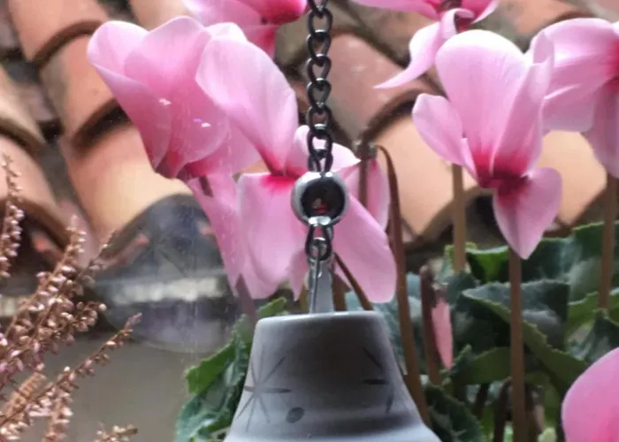 Barbara's 4* 基奥贾