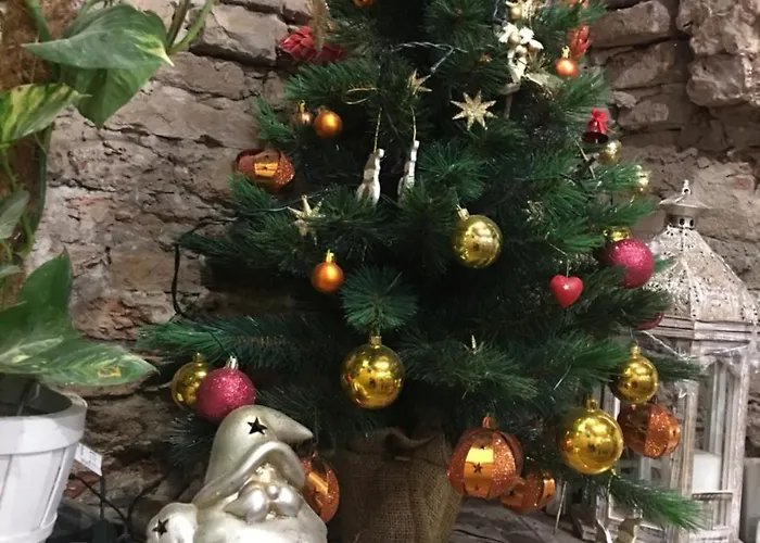 Barbara's Bed and Breakfast